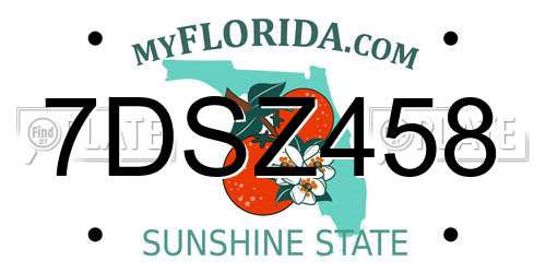 7DSZ458 Florida License Plate