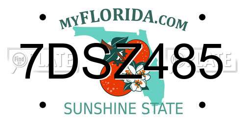 7DSZ485 Florida License Plate