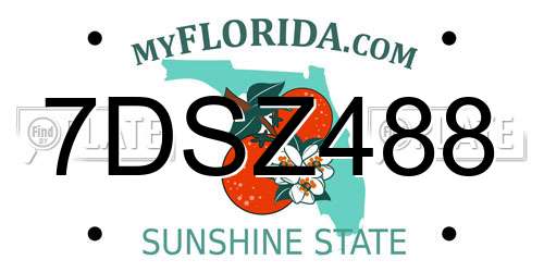 7DSZ488 Florida License Plate