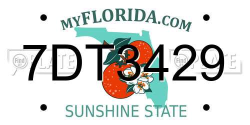 7DT3429 Florida License Plate