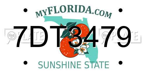 7DT3479 Florida License Plate
