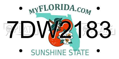 7DW2183 Florida License Plate
