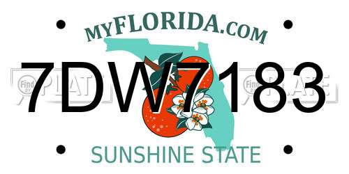 7DW7183 Florida License Plate