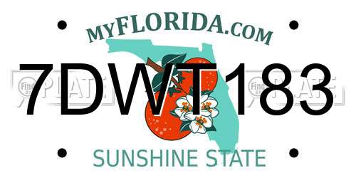 7DWT183 Florida License Plate
