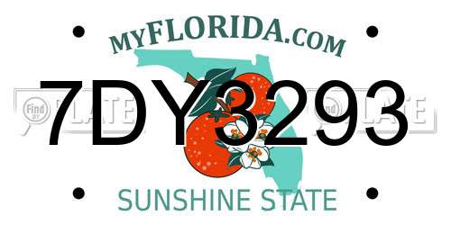 7DY3293 Florida License Plate