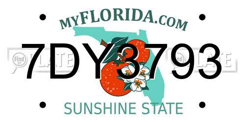 7DY3793 Florida License Plate