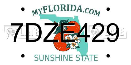 7DZE429 Florida License Plate