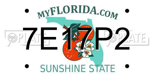 7E17P2 Florida License Plate