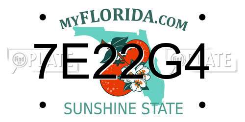 7E22G4 Florida License Plate
