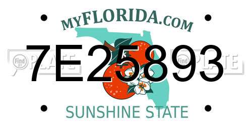 7E25893 Florida License Plate