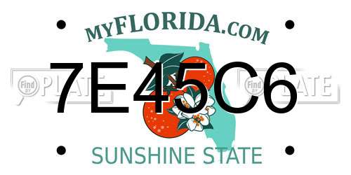 7E45C6 Florida License Plate
