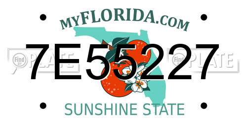 7E55227 Florida License Plate