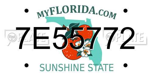 7E55772 Florida License Plate
