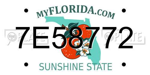 7E58772 Florida License Plate
