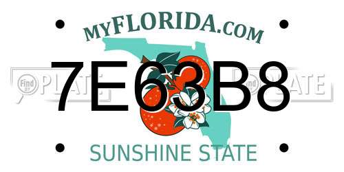 7E63B8 Florida License Plate