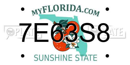 7E63S8 Florida License Plate