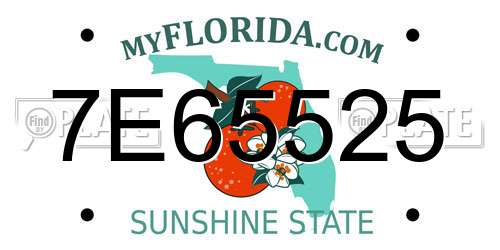 7E65525 Florida License Plate