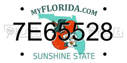 7E65528 Florida License Plate