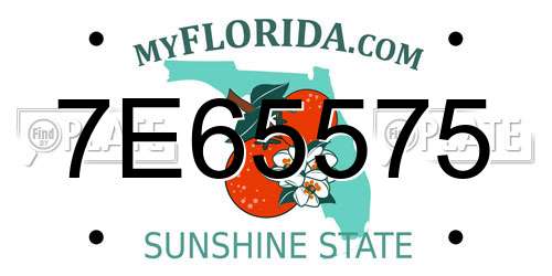 7E65575 Florida License Plate