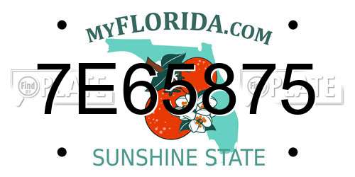 7E65875 Florida License Plate