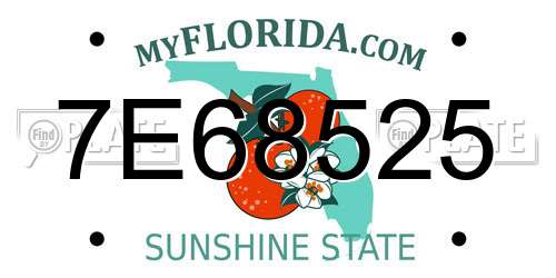 7E68525 Florida License Plate