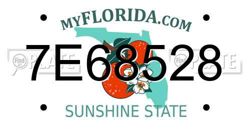 7E68528 Florida License Plate