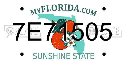 7E71505 Florida License Plate