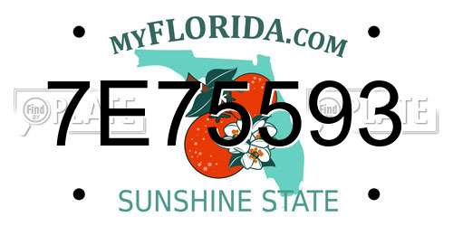 7E75593 Florida License Plate