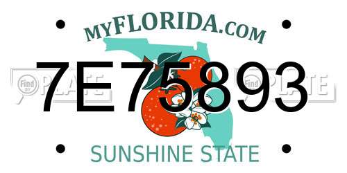 7E75893 Florida License Plate