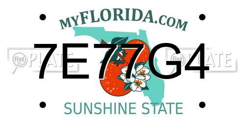7E77G4 Florida License Plate