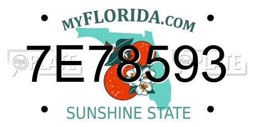 7E78593 Florida License Plate