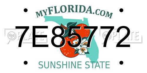 7E85772 Florida License Plate