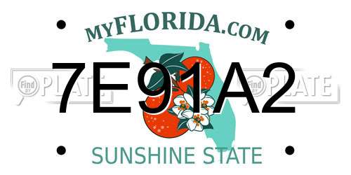 7E91A2 Florida License Plate