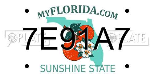 7E91A7 Florida License Plate