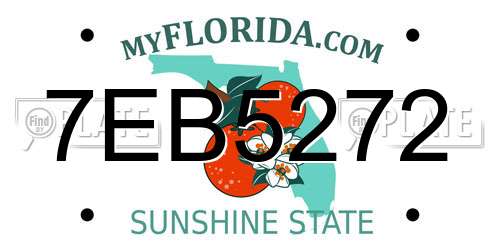 7EB5272 Florida License Plate