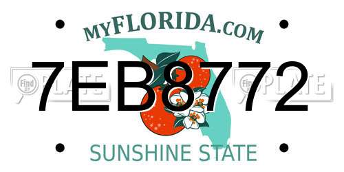 7EB8772 Florida License Plate