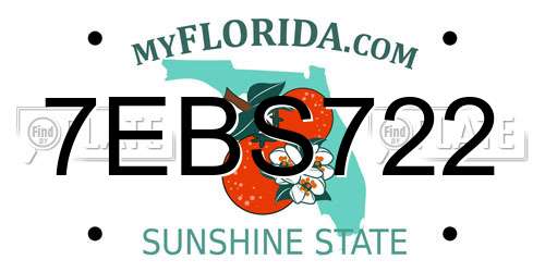 7EBS722 Florida License Plate