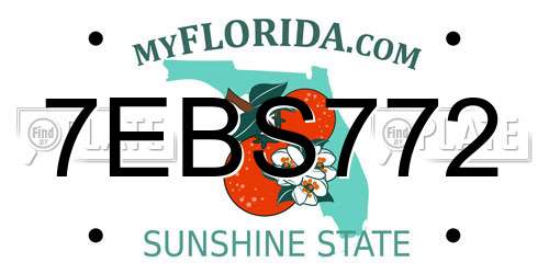 7EBS772 Florida License Plate