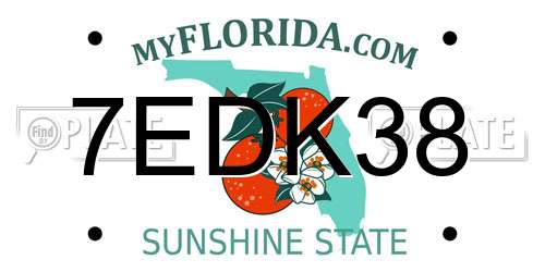 7EDK38 Florida License Plate