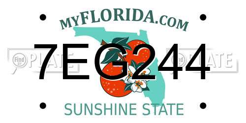 7EG244 Florida License Plate