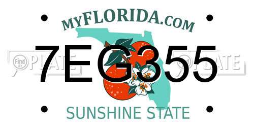 7EG355 Florida License Plate