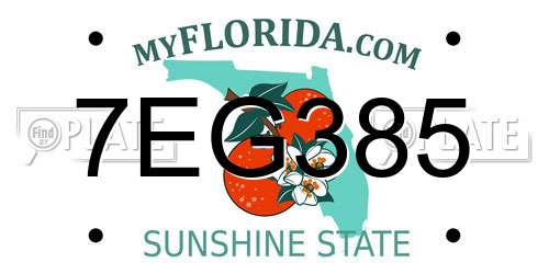 7EG385 Florida License Plate