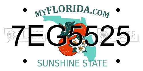 7EG5525 Florida License Plate
