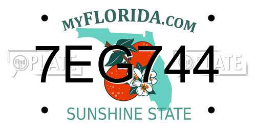 7EG744 Florida License Plate