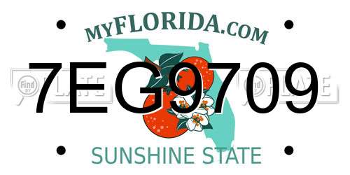 7EG9709 Florida License Plate