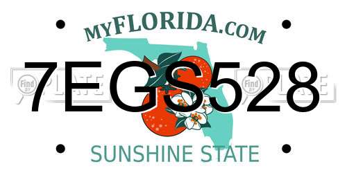 7EGS528 Florida License Plate