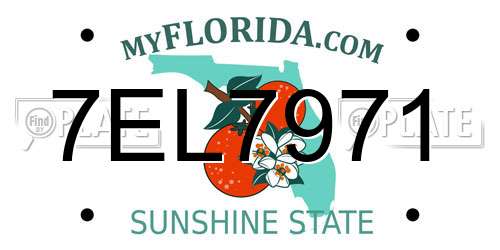 7EL7971 Florida License Plate