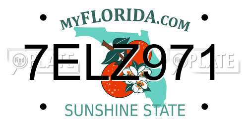 7ELZ971 Florida License Plate