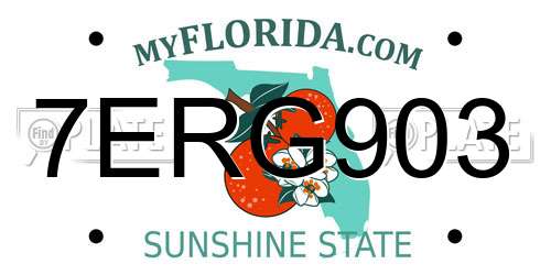 7ERG903 Florida License Plate