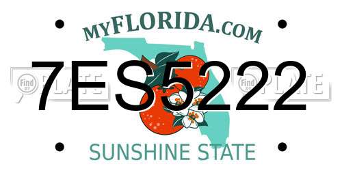 7ES5222 Florida License Plate